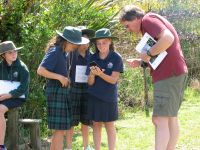 Murray Dawson helping Paroa students identify plants in their school grounds. Photo: Hugh Gourlay, Manaaki Whenua - Landcare Research