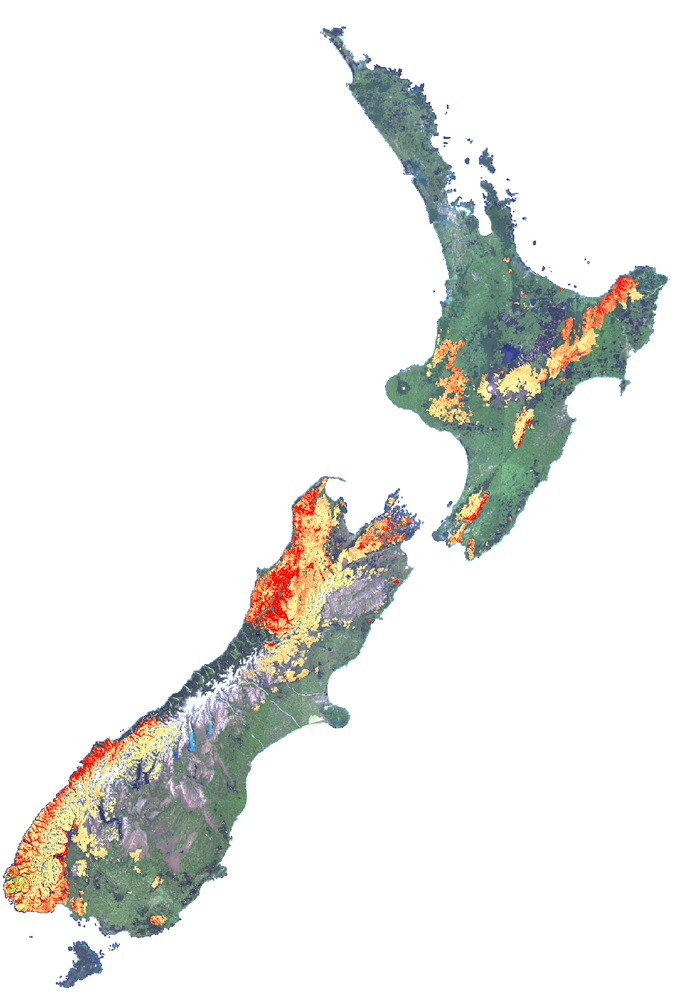 Modern remote sensing techniques allow very high-resolution land surveying. The data in this image show beech forest flowering: red = higher intensity: yellow = lower instensity.