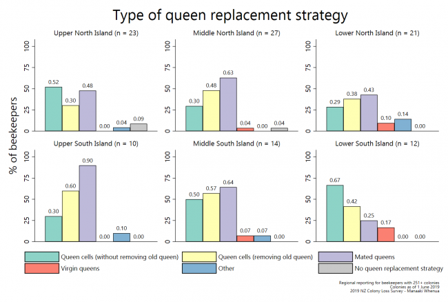 <!--  --> Queen replacement strategy (by region)