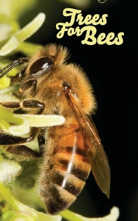trees_bees