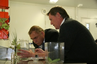 Science Minister Wayne Mapp (left) being shown an insect control agent by Invertebrate Containment Building Manager, Hugh Gourlay.