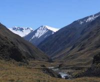 Dryland tussock country, Mesopotamia Station. Image - Andrea Byrom.