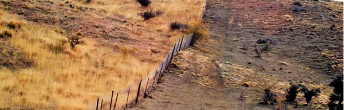 Dryland habitat in Central Otago with (right) and without (left) rabbits. Image – Don Robson.
