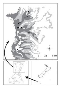 <strong>Fig. 1.</strong> The study location on Auckland Island. Tussock and scrub habitat are depicted as dark and light grey respectively. All other land covers are grouped together as white. Black dots show the home range centres of the radio-collared pigs.