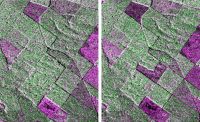 Forest change detection with PalSAR FBD.  Pink areas are felled. Left image: 11July2009. Right image: 21 October 2009