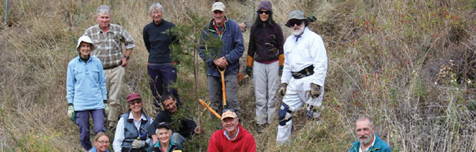 Working bee to restore habitat for Otago giant skink. Image - Central Otago Conservation Trust