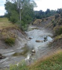 River flows & water quality are significant management issues. Image - Les Basher