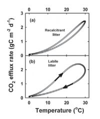 Figure 2. Simulated respiration rates as a function of temperature based on CenW simulations parameterised for conifer stands (a) or pastures (b).