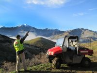 Researcher using a handheld receiver to locate study animals, Muzzle Station, North Canterbury – Aran Proud