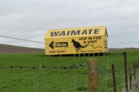 Waimate is known as ‘wallaby country’ but they’re spreading further south.