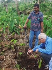 Rohit Lal (Ministry of Agriculture Fiji Advisory Officer and Massey PhD student) and Dr Neil McKenzie (Intergovernmental Technical Panel on Soils Representative for the Southwest Pacific Region and Leader of the Australian Soil Research, Development and Extension Strategy) discussing soils and Taro cultivation on the south western slopes of Taveuni. There are concerns about unexplained declines in yield after storm damage caused by Tropical Cyclone Winston.