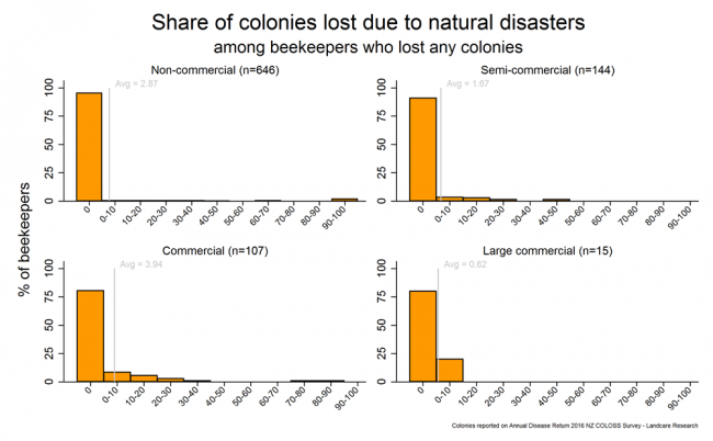 <!-- Winter 2016 colony losses that resulted from natural disasters based on reports from all respondents who lost any colonies, by operation size. Natural disasters include gale force winds, flooding, etc. --> Winter 2016 colony losses that resulted from natural disasters based on reports from all respondents who lost any colonies, by operation size. Natural disasters include gale force winds, flooding, etc. 