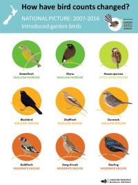 Introduced birds - national picture