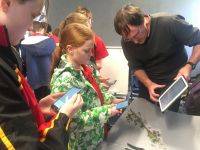 Murray Dawson explaining how to use iNat smartphone app for recording cotoneaster. Photo: Suzette Howe