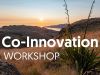 Co-innovation workshop