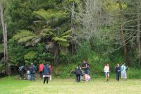 Manuka School students collecting and recording weeds at Spinella Reserve. Photo:  Hugh Gourlay