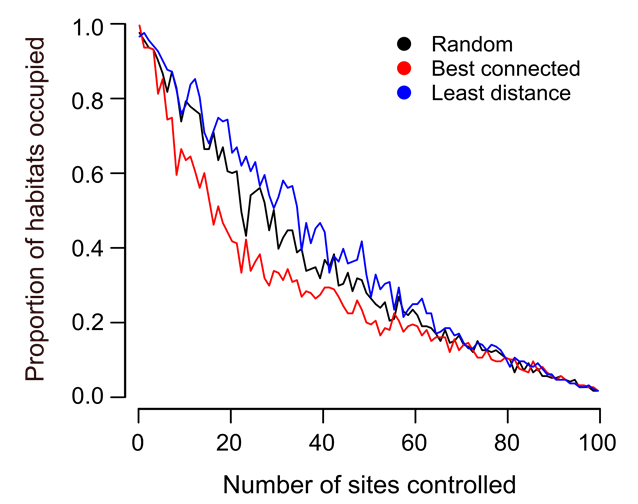 Figure 2.  Effectiveness of control of invasive pests (as measured by the proportion of 100 occupied habitats at the end of the simulation) using the distance- and connectivity-based prioritisation strategies under different control intensity.  Lines are medians from 30 model replications.  When few sites are controlled, all methods perform equally poorly, and when nearly all of the 100 sites are controlled, all methods perform equally well.  But as control effort increases, the connectivity-based approach provides the most efficient control strategy.