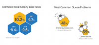 Estimated total colony loss rates, and leading causes of colony loss