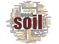 Stakeholder views on soil health