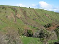 Landslides on a hill