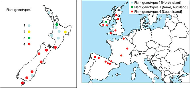 Plant genotypes locations in New Zealand and Europe