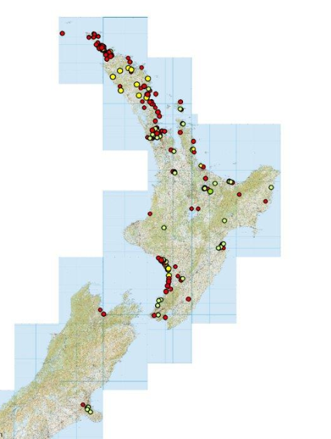 Distribution of <em>Acacia longifolia</em> (red dots) <em>A. sophorae</em> (green) and <em>A. floribunda</em> (open) populations as recorded in the Australasian Virtual Herbarium and in Department of Conservation records (D. Havell, DOC, pers. comm.) 