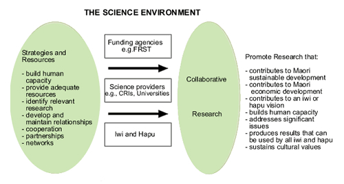 collaborating_iwi_science_environment_daigram