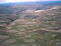 Fragmented landscape in Eastern Otago.