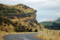 Limestone bluffs at Castlerock, Southland. We surveyed this area for dry rockshelters.