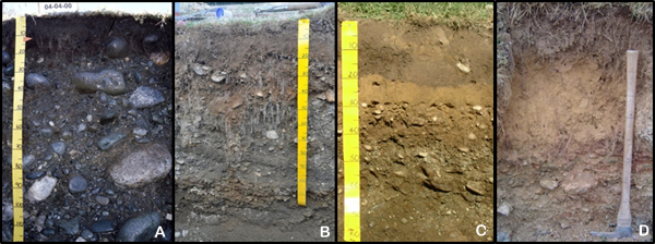 Figure 2: Photographs of four different stony soil profiles showing (A), young alluvial very stony sand, (B), intermediate-aged terrace soil with very shallow sandy loam, (C), older terrace soil with shallow silt loam over sandy gravels at 45 cm, and (D) older terrace soil with loamy material in gravels to 1 m.
