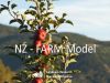 NZ-FARM model