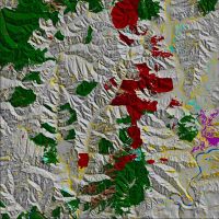Extract from EcoSat basic land cover of Manawatu/Wanganui region. Dark green is indigenous forest. Dark red is pine forest. Brown is narrow-leaved scrub. Yellow is unspecified woody vegetation. Grey is pasture. Cyan is bare ground. Purple is urban bare ground (Taumaranui). Blue is water