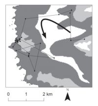 <strong>Fig. 2.</strong> The movements of one pig showing clear selection for tussock vegetation (tussock = dark grey; scrub = light grey; and alpine = white). This animal unusually also demonstrated a movement toward the coast followed by moves inland.