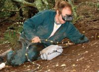 Burrowscoping Oi nest. Image – Jamie Newman