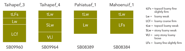 Figure 1. Illustration of the revised classification of four National Soil Database profiles from one soil series (Taihape) into three families. Each profile is labelled with its family name and sibling number. Each horizon is labelled with its functional horizon code. The Taihape family is now more precisely defined as being Typic Orthic Gley, moderately deep on rock, silty, moderate over slow permeability. The shallower, better drained part of the Taihape series is now classified as either the older Pahiatua family or the younger Mahoenui family.