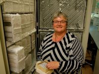 Dr Janine Duckworth of Landcare Research handling rabbit DNA samples.