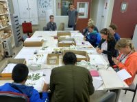 Students and caregivers concentrating on mounting and labelling their specimens which will go in the herbarium