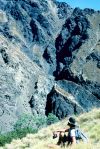 Acidic cliffs on the Inland Kaikoura Range (PeterWilliams)