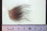 Brushtail possum - demo: Hair tuft, including dense layer of lighter coloured underhair, guard hairs and occasional longer overhair