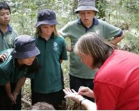 BioBlitz Auckland