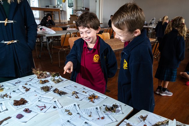 Lake Brunner School students examining collected specimens