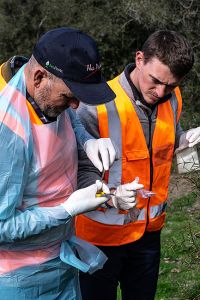 Manaaki Whenua staff undertaking monitoring work