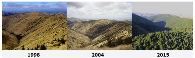 Images showing how wilding conifers can spread if left unchecked - Mid Dome, Upper Tomogalak, from 1998 to 2015. Image: Richard Bowman, MPI