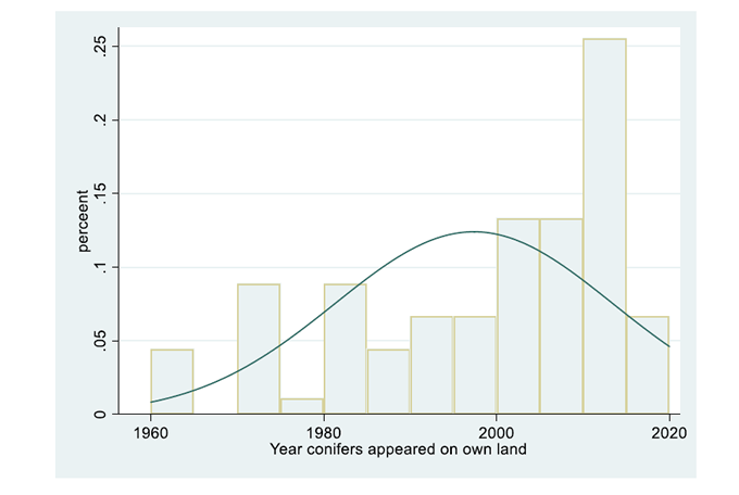 Graph showing the year conifers appeared on respondents' own land.