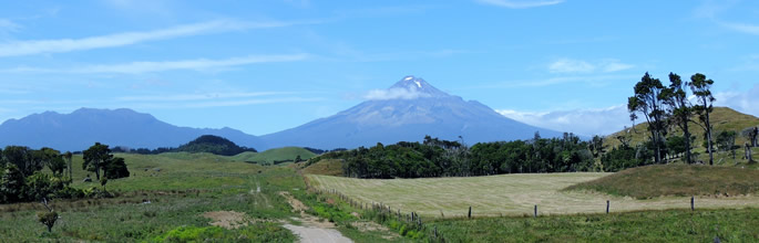 Predator-Free Taranaki 