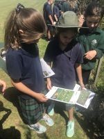 Paroa students with species profile cards to help them find weeds growing in their school grounds. Photo: Rianna Farr, Paroa School