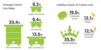 Average colony loss rates, and leading causes of colony loss