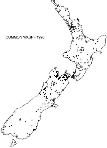 Distribution of Common wasps
