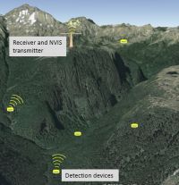 Detection devices transmitting information to a base receiver that sends the data to a computer for near real-time monitoring.