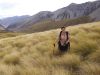 Kerry Ford (author of a Guide to Grasses of New Zealand) in tussock grassland. Image - Ilse Breitwieser